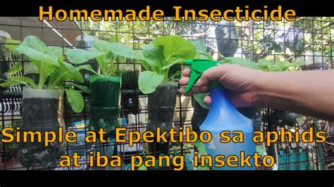 allergy sa sabon panlaba|Iba't.